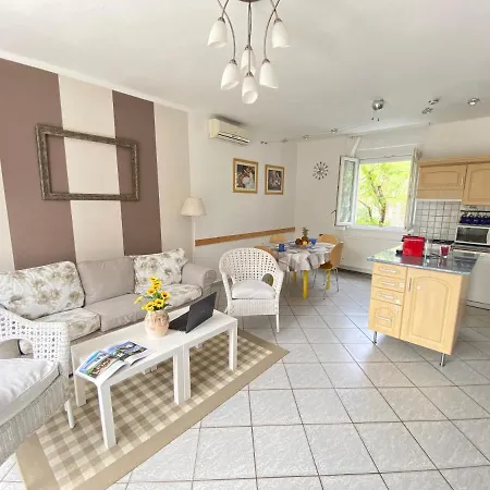 Dandelion Szepvoelgyi Vendeghaz