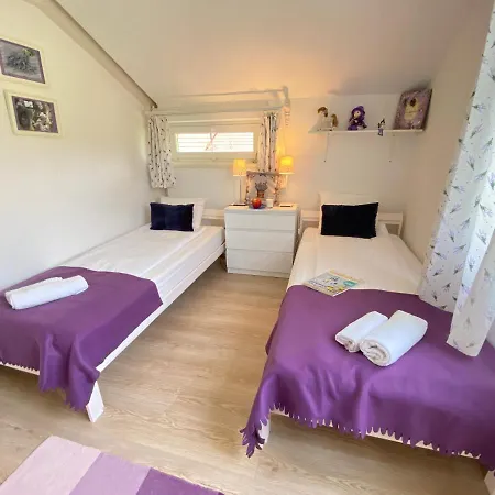 Dandelion Szepvoelgyi Vendeghaz Σπίτι διακοπών *