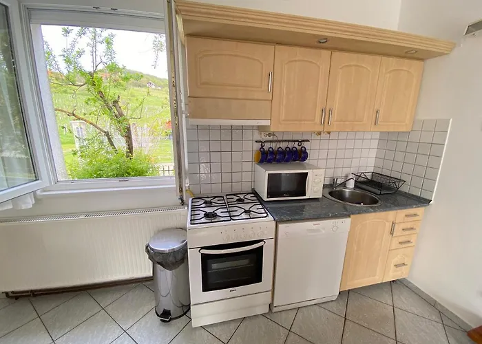 Dandelion Szepvoelgyi Vendeghaz Badacsonytomaj