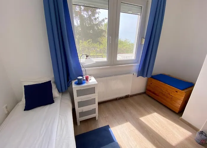 Dandelion Szepvoelgyi Vendeghaz *