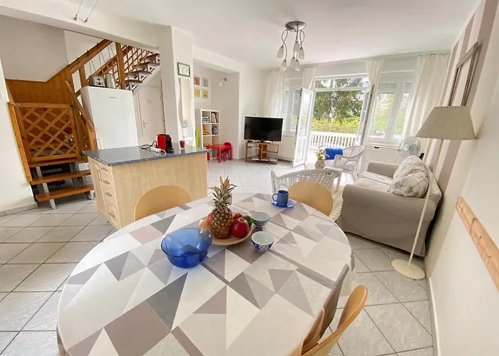 Dandelion Szepvoelgyi Vendeghaz