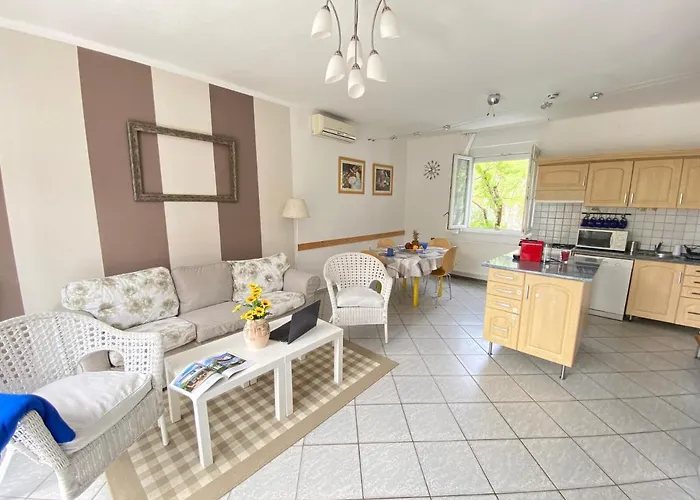 Dandelion Szepvoelgyi Vendeghaz